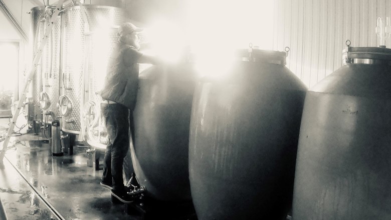 Cellar work, © Leo Uibel Cellar work, © Leo Uibel