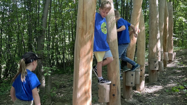 Nature park in the forest - Josefspark 4, © Marktgemeinde Sieghartskirchen Nature park in the forest - Josefspark 4, © Marktgemeinde Sieghartskirchen