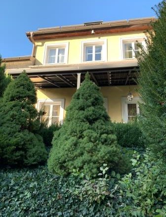 Dom s bazénom, © bed and pool Dom s bazénom, © bed and pool