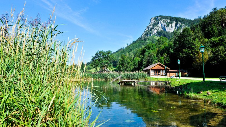 Summer in the Falkenstein Nature Park, Schwarzau im Gebirge, © Naturparke Niederösterreich/Robert Herbst Summer in the Falkenstein Nature Park, Schwarzau im Gebirge, © Naturparke Niederösterreich/Robert Herbst