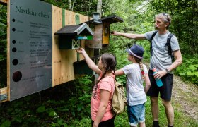 Annaberg nature trail, © Naturlehrpfad Annaberg Annaberg nature trail, © Naturlehrpfad Annaberg