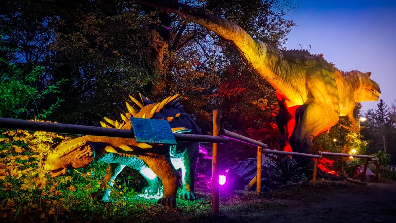 c-dumba-park1, © Dumba Park_Kopp c-dumba-park1, © Dumba Park_Kopp