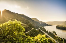 Dürnstein Landschaft, © Robert Herbst Dürnstein Landschaft, © Robert Herbst