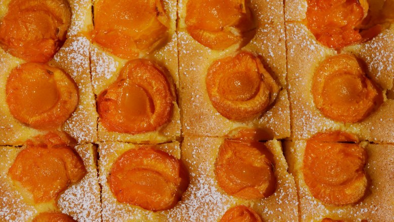 Apricot cake, © Steve Haider Apricot cake, © Steve Haider
