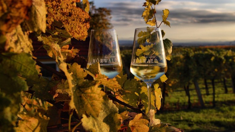 Viticulture Mörwald, © Weinbau Mörwald GmbH Viticulture Mörwald, © Weinbau Mörwald GmbH