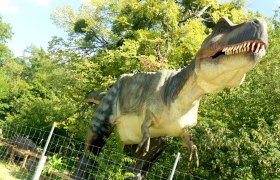 Dumba Park, © Dumba Park_Kopp Dumba Park, © Dumba Park_Kopp