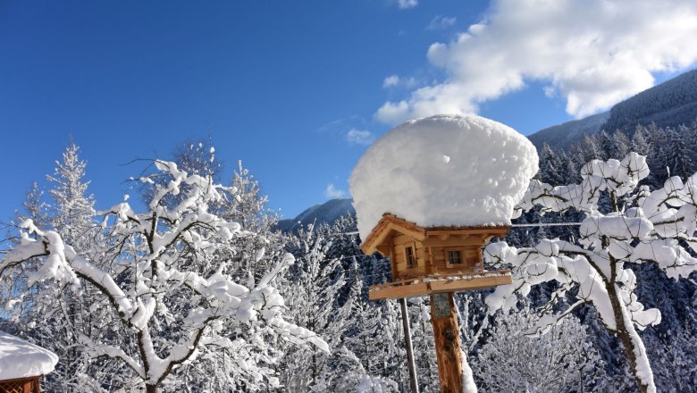 Bird house, © Doris Jagersberger Bird house, © Doris Jagersberger