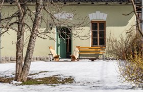 DSC_4681, © Veronika Nutz DSC_4681, © Veronika Nutz