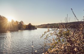 Vienna Woods Lake, © Wienerwald Tourismus/Andreas Hofer Vienna Woods Lake, © Wienerwald Tourismus/Andreas Hofer