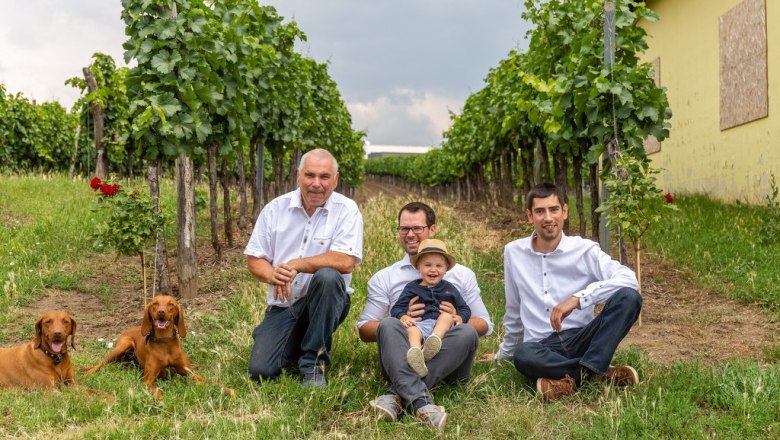 In the vineyard, © Andreas Schweighofer In the vineyard, © Andreas Schweighofer