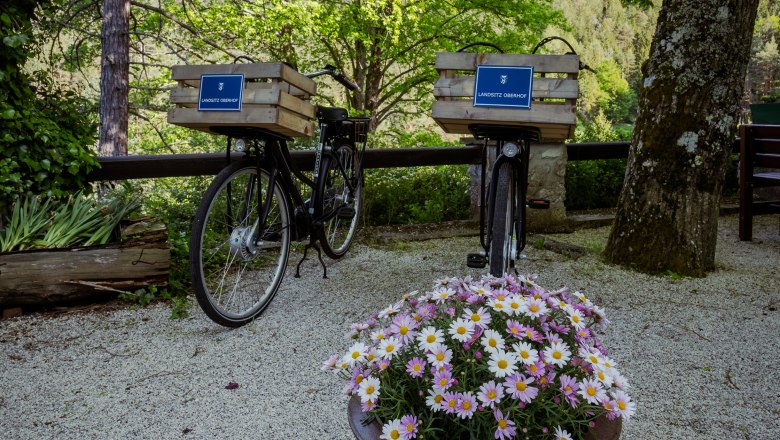 Vidiecke sídlo Oberhof, © Niederösterreich Werbung / Maximilian Pawlikowsky Dva bicykle s košíkmi a nápisom "Landsitz Oberhof" sú zaparkované na štrkovej ceste, obklopenej stromami a kvetináčom so sedmokráskami.