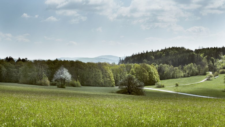 Irenental (c)Wienerwald Tourismus_Andreas Hofer_2021, © Andreas Hofer/Wienerwald Tourismus Irenental (c)Wienerwald Tourismus_Andreas Hofer_2021, © Andreas Hofer/Wienerwald Tourismus