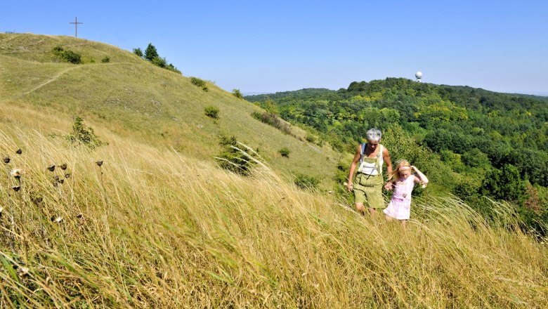 Steppe grassland, © Naturpark Leiser Berge Steppe grassland, © Naturpark Leiser Berge