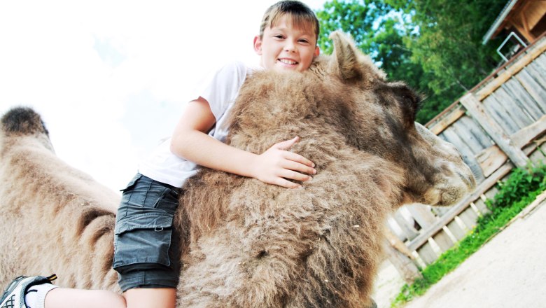 Vždy nejaké divadlo, © weinfranz.at Vždy nejaké divadlo, © weinfranz.at
