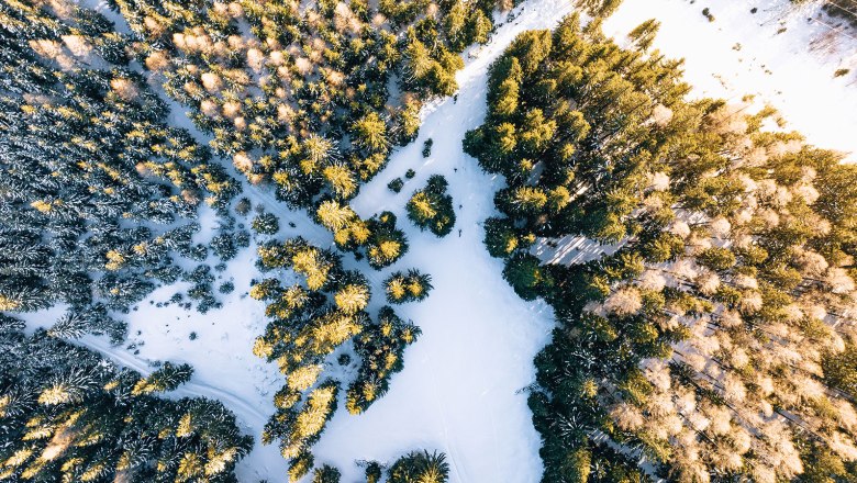 Nestelberg 17 (c)Marlene Schindlegger (70), © Sabine Wieser Nestelberg 17 (c)Marlene Schindlegger (70), © Sabine Wieser