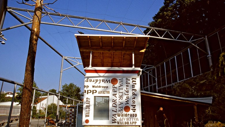 Waldrapp Waidhofen, © Verein Waldrapp Waldrapp Waidhofen, © Verein Waldrapp