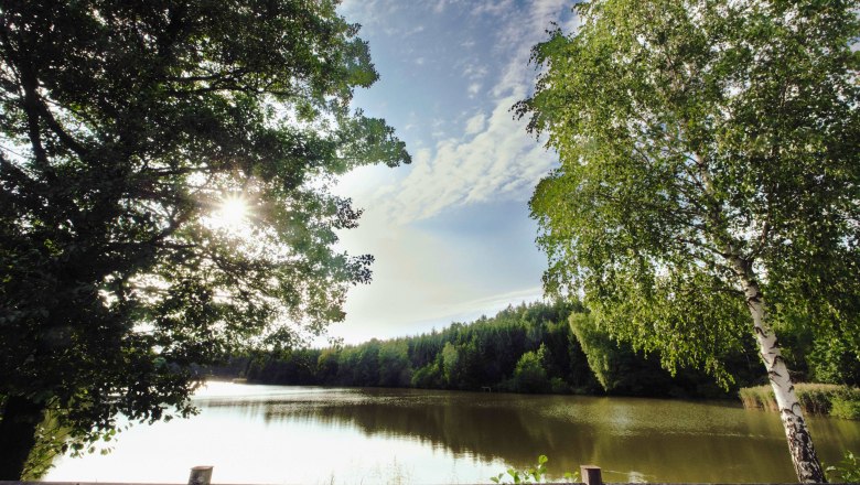 Muller pond Reingers, © Gemeinde Reingers Muller pond Reingers, © Gemeinde Reingers