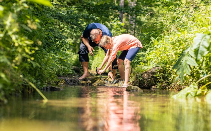 Johannesbachklamm_FR_6780 (1), © (c)Fülöp Johannesbachklamm_FR_6780 (1), © (c)Fülöp