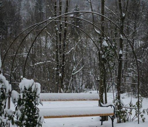 Forst Kienberg Winter (c)Forst Kienberg (3), © Forst Kienberg Forst Kienberg Winter (c)Forst Kienberg (3), © Forst Kienberg