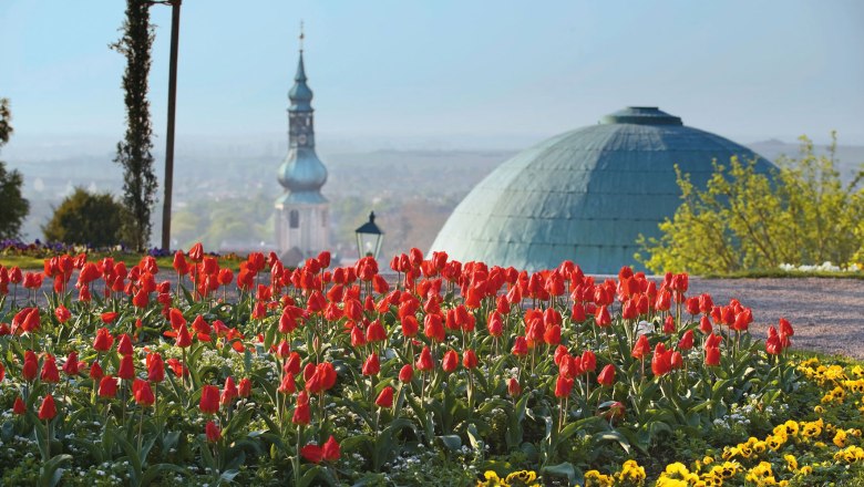 baden_lammerhuber, © Lois Lammerhuber baden_lammerhuber, © Lois Lammerhuber