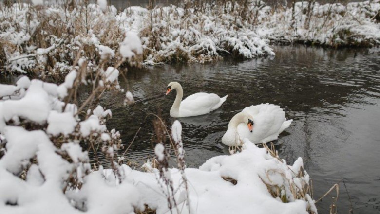 Forst Kienberg Winter (c)Forst Kienberg (15), © Forst Kienberg Forst Kienberg Winter (c)Forst Kienberg (15), © Forst Kienberg