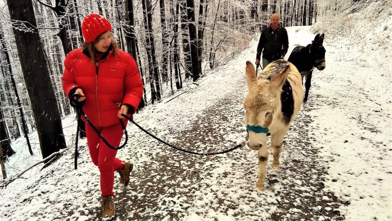 Snow hike, © (Copyright Christine Plocek) Snow hike, © (Copyright Christine Plocek)