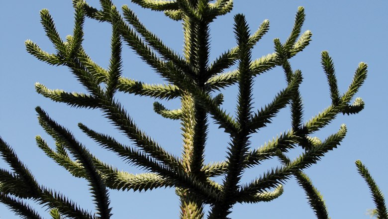 Detailed view, © Marianne Wenighofer Detailed view, © Marianne Wenighofer