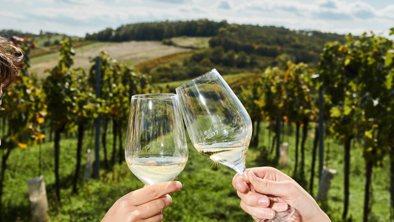 Toasting in the vineyard, © Weinviertel Tourismus / Michael Liebert Toasting in the vineyard, © Weinviertel Tourismus / Michael Liebert