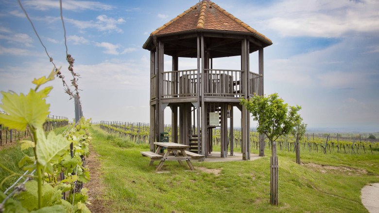 KWTD Fels am Wagram viewing platform, © Donau Niederösterreich, Barbara Elser KWTD Fels am Wagram viewing platform, © Donau Niederösterreich, Barbara Elser