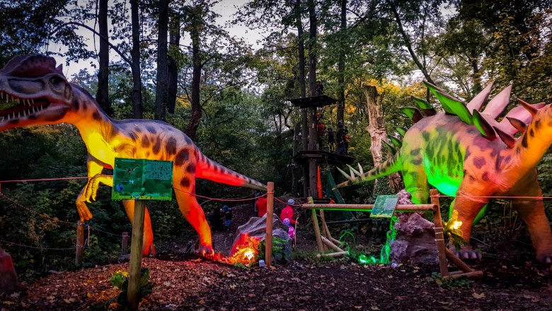 c-dumba-park3, © Dumba Park_Kopp c-dumba-park3, © Dumba Park_Kopp