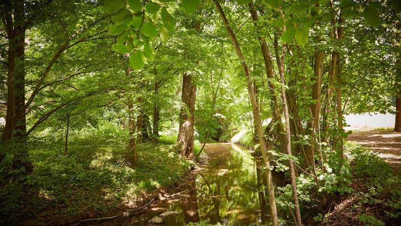 hradný roh, © lichtstark.com hradný roh, © lichtstark.com