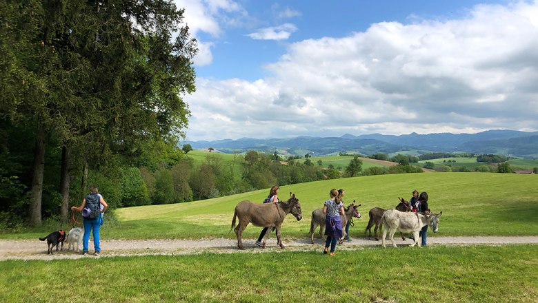Trekking na oslovi na farme Esperanza, &copy; Mag.a Martina Kotzina, Esperanza- Zentrum f&uuml;r tierunterst&uuml;tzte P&auml;dagogik