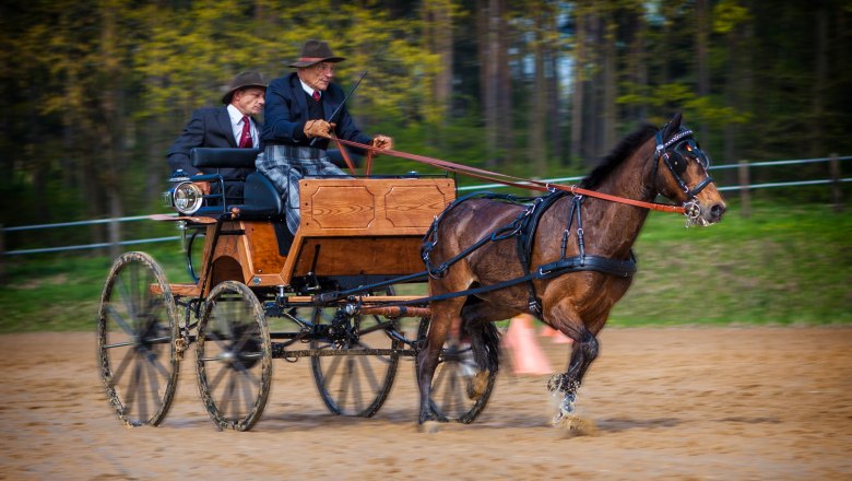 Fahr- und Reitverein Karlstetten, © Gerty Schabas
