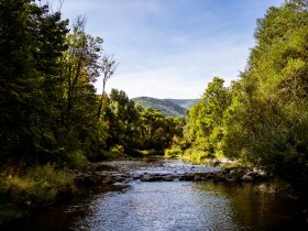 Helenental Schwechat, &copy; Wienerwald