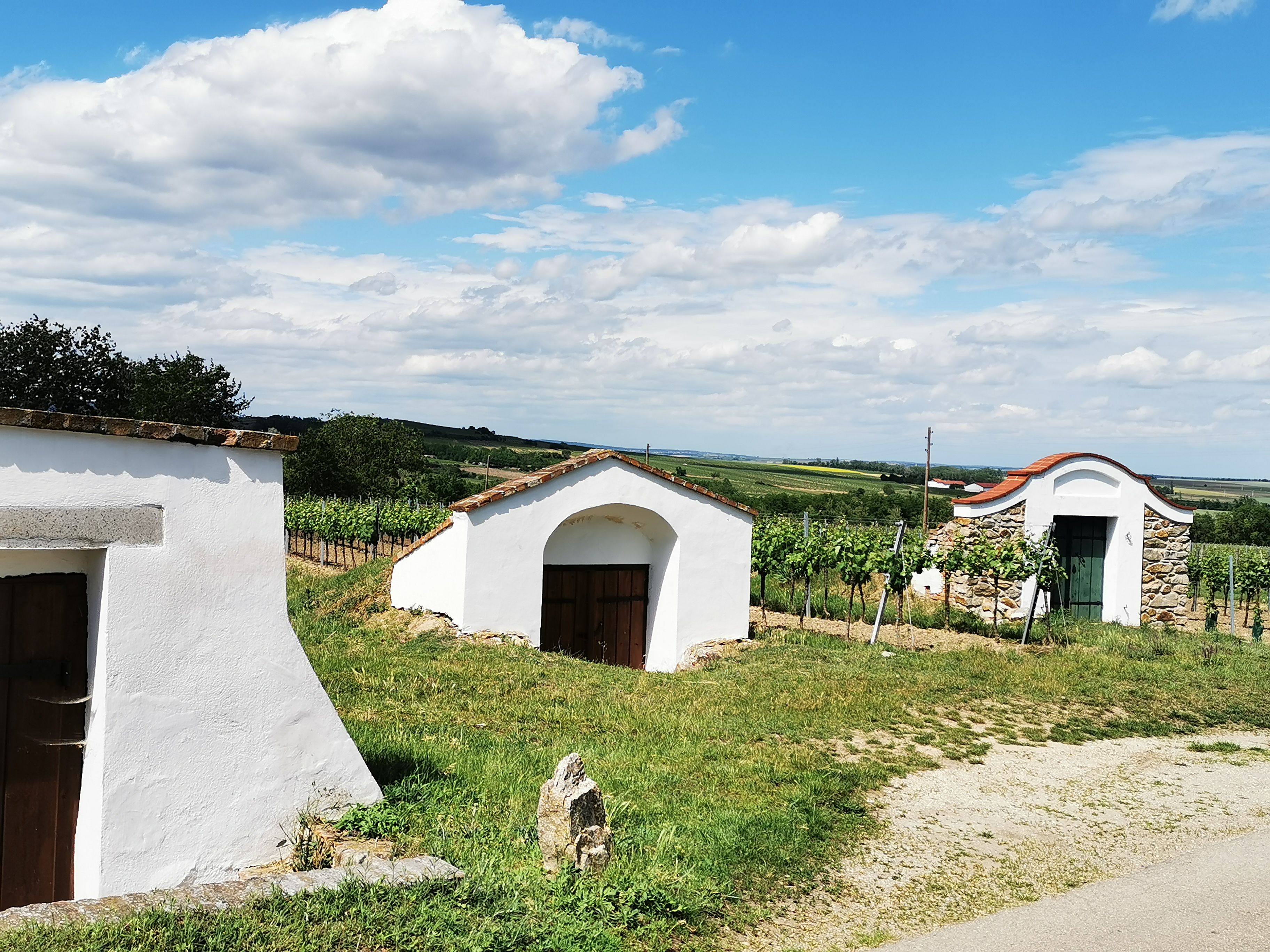 Vínna pivnica v Zellerndorfe, obklopená vinicami a modrou oblohou.
