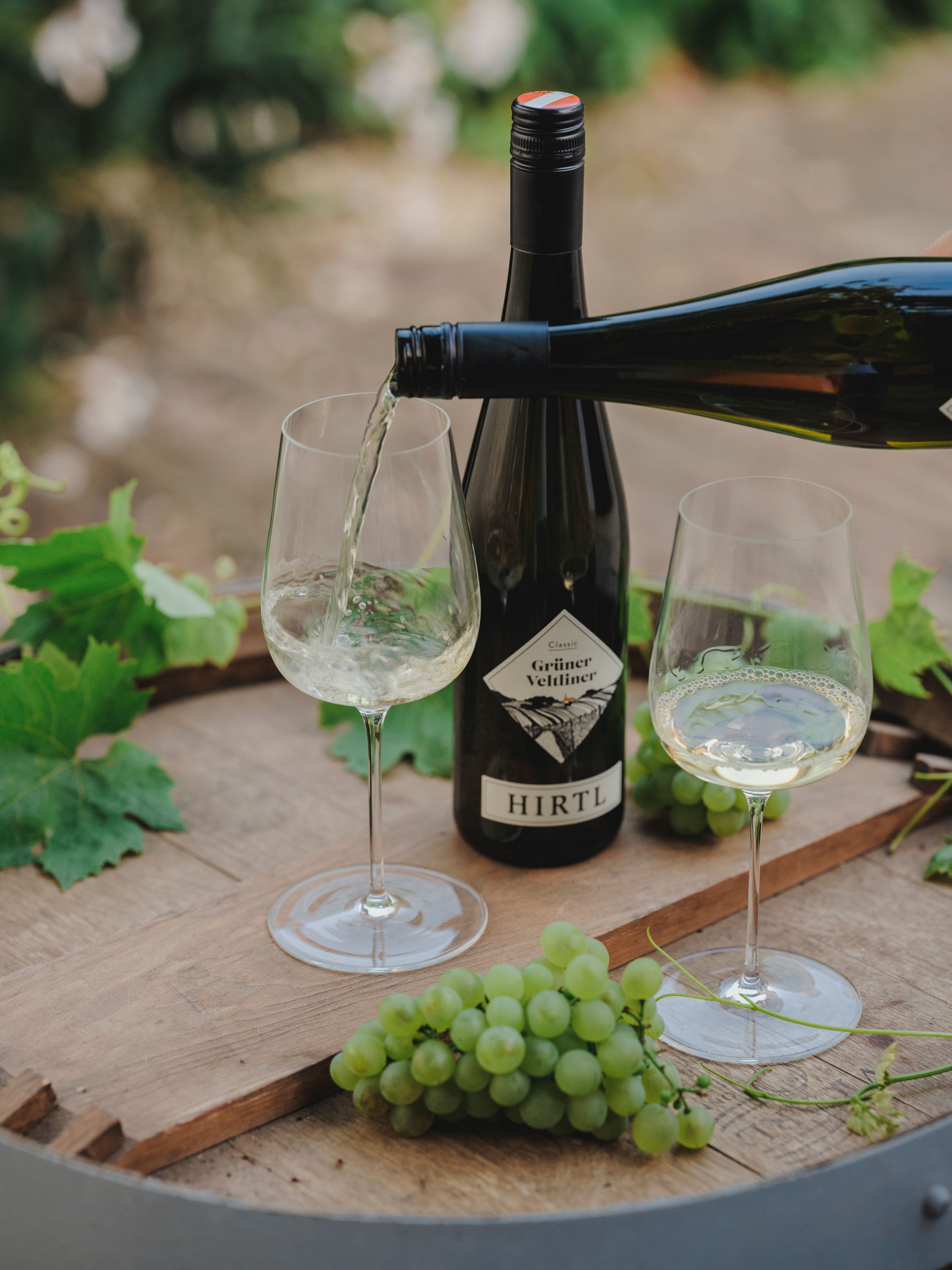 Biele víno je naliate do pohára, vedľa neho fľaša veltlínskeho zeleného vína od Hirtla a zelené hrozno na drevenom stole.