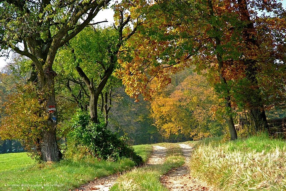 Poľná cesta do Oberpirathu