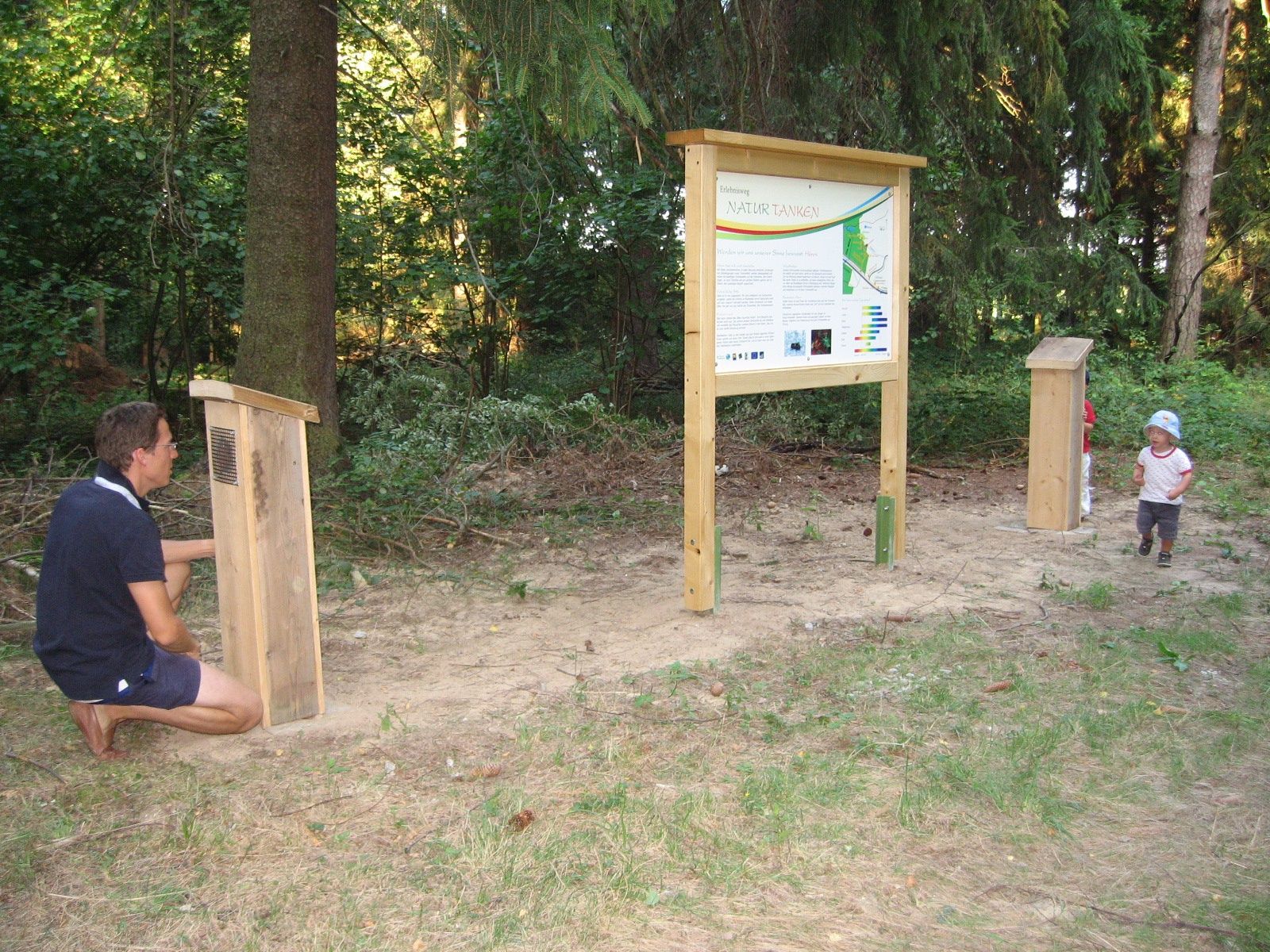 Cesta s borovicami