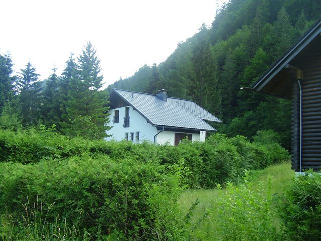 Biely dom so sivou strechou obklopený zelenými kríkmi a stromami vo vidieckej lesnej krajine.
