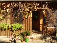 Vchod do rustikálneho dreveného domu s rastlinami a mačkou.