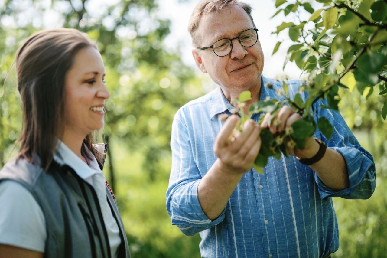Distelberger gurmánska farma