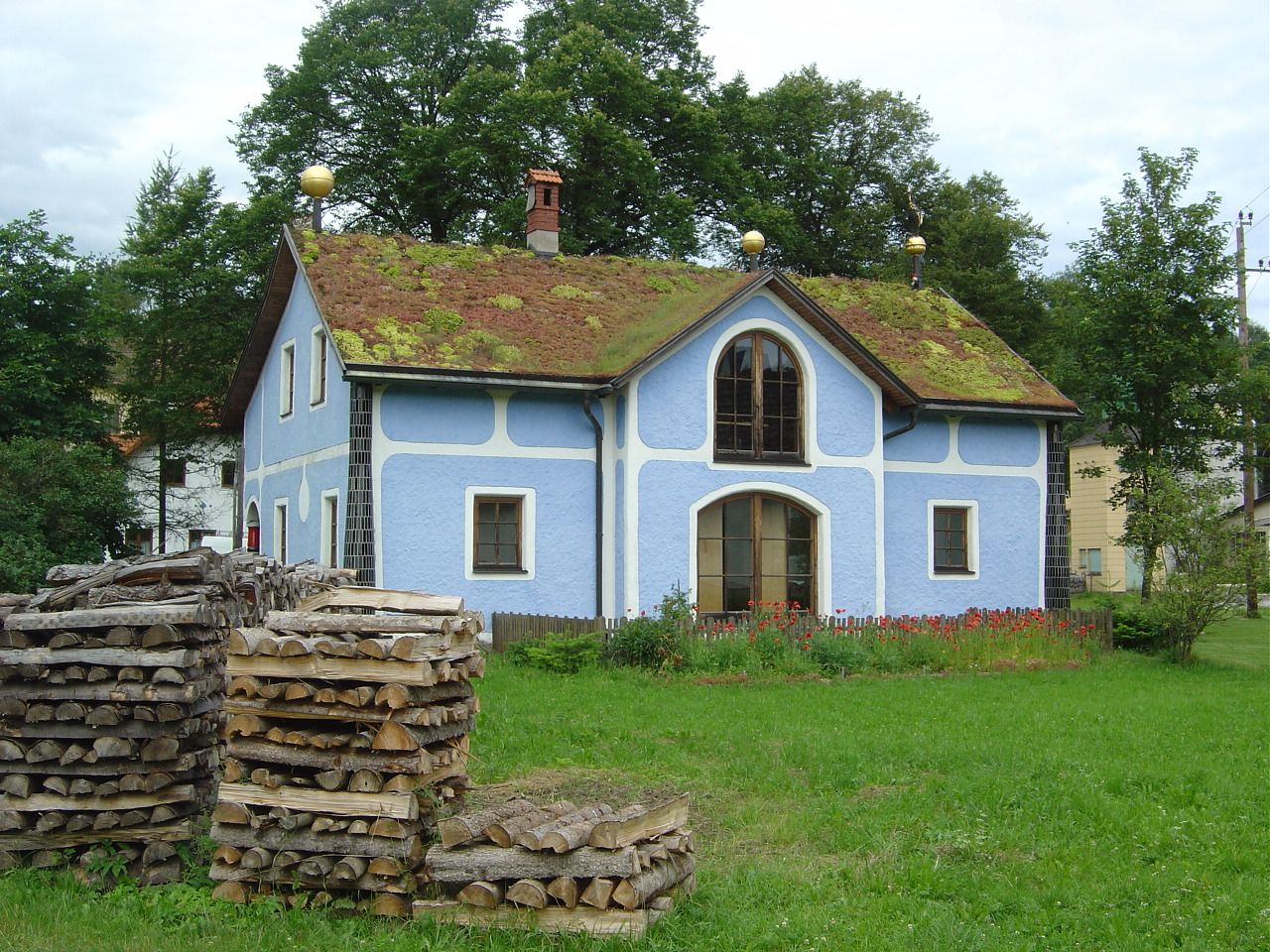 Modrý dom s trávnatou strechou a hromadami dreva v popredí.