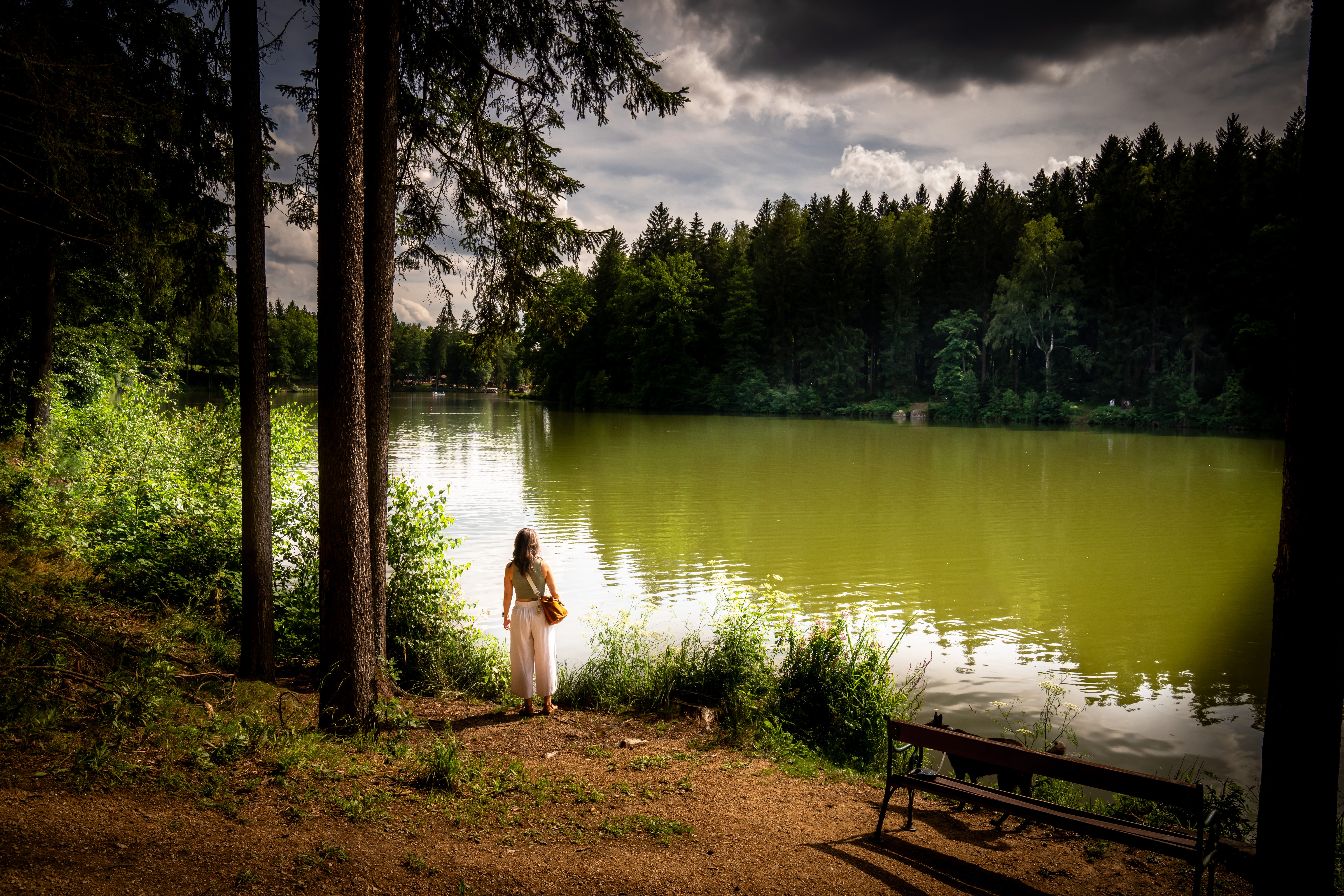 Ein ruhiger Moment am Ufer eines glitzernden Sees, umgeben von dichten Wäldern und sanften Hügeln. Die sanften Wellen spiegeln die dramatischen Wolken am Himmel wider und schaffen eine friedliche Atmosphäre, die zum Verweilen einlädt.