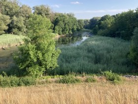 Nationalpark Tour Donau-Auen_20250707_RobertSkocek_Donauarmvon&Uuml;berschwemmungsdammStopfenreuth, &copy; Robert Skocek