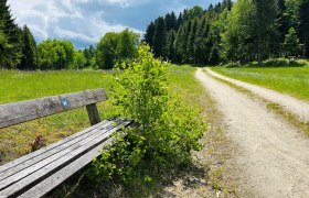 Cesta pri Weitre, &copy; Dr. Markus Peham