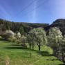 Wanderweg, © Familie Prack