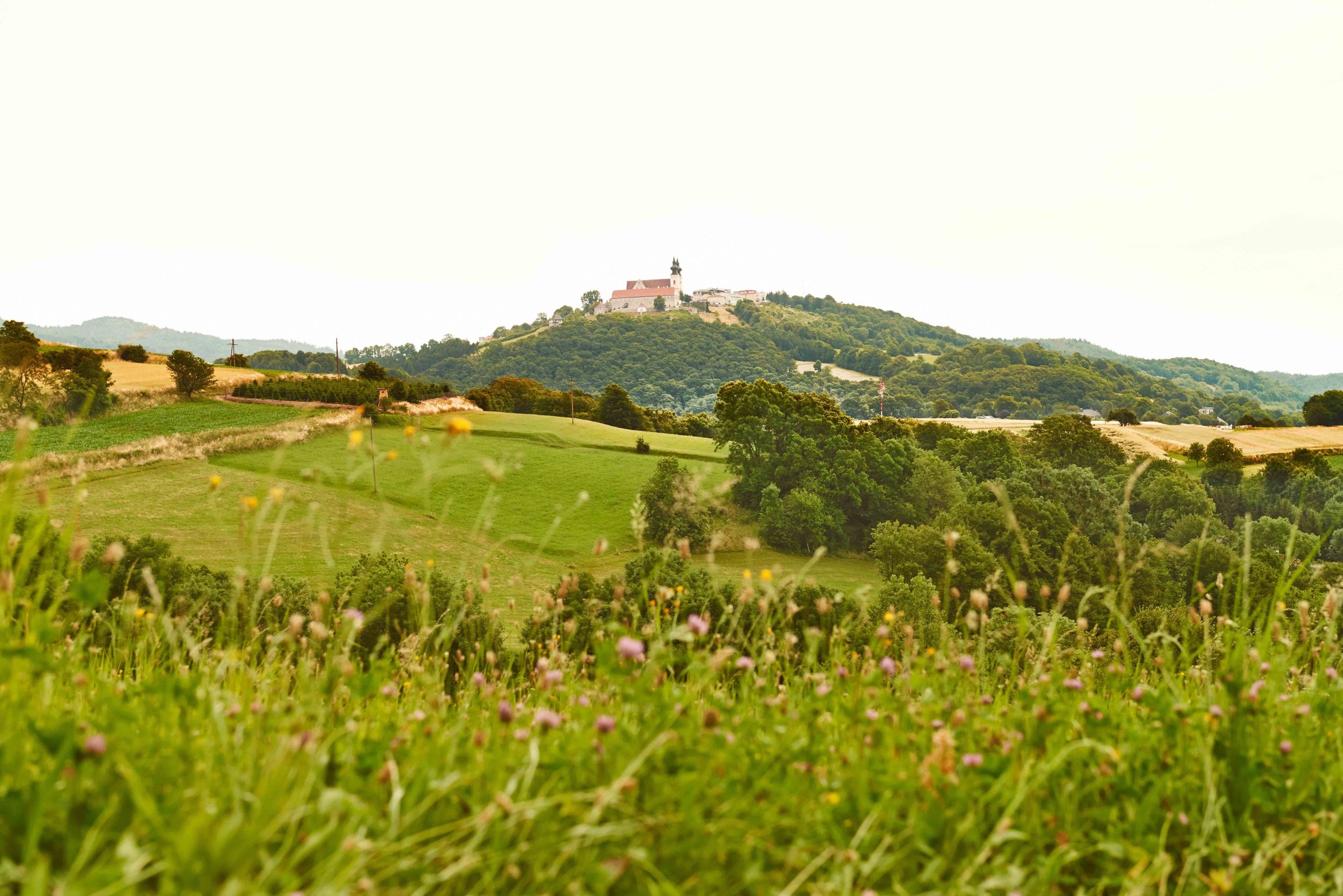 Krajina so zelenými lúkami a kopcami, v pozadí kostol na kopci.