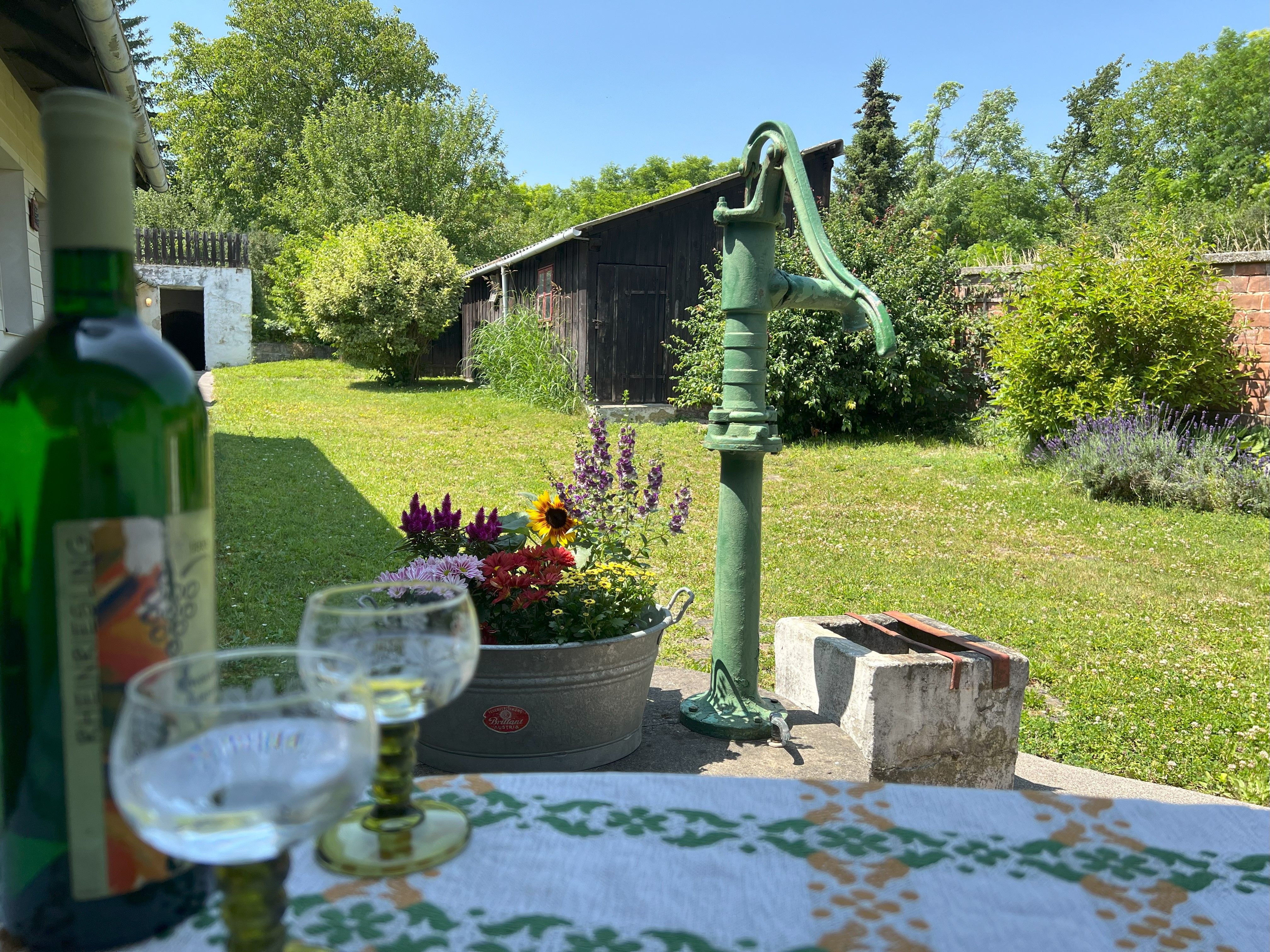 Zelený dvor so starou vodnou pumpou, kvetmi a stolom s fľašou vína a pohármi.