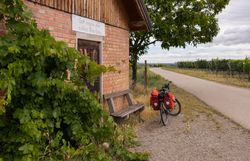 Ein malerischer Radweg schlängelt sich durch die sanften Hügel des Wienerwaldes, umgeben von üppigen Weinreben und grünen Bäumen. Die frische Luft und die ruhige Atmosphäre laden dazu ein, eine wohlverdiente Pause auf der Bank zu genießen und die Schönheit der Natur zu bewundern.