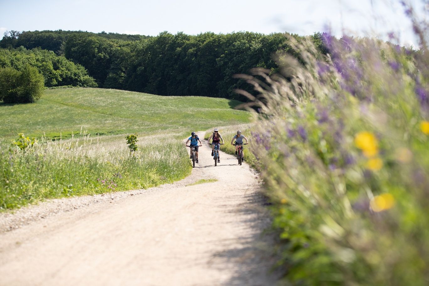 MTB Viedenský les